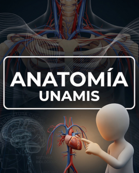 Anatomía UNAMIS – Idappi