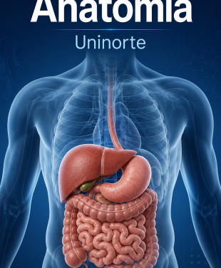 Uninorte Anato